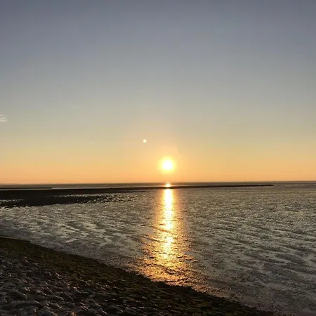 Lejlighed Kiebitznest *